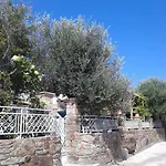 Patriko