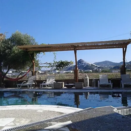 πατρικό