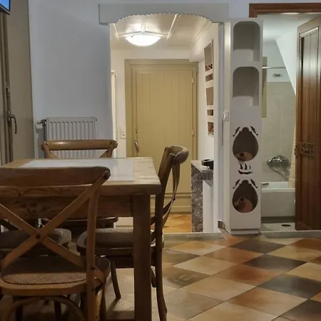 πατρικό