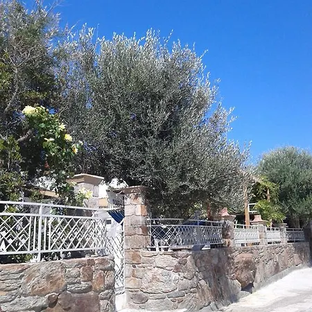 Patriko