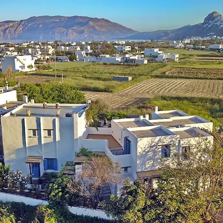 πατρικό Σκύρος